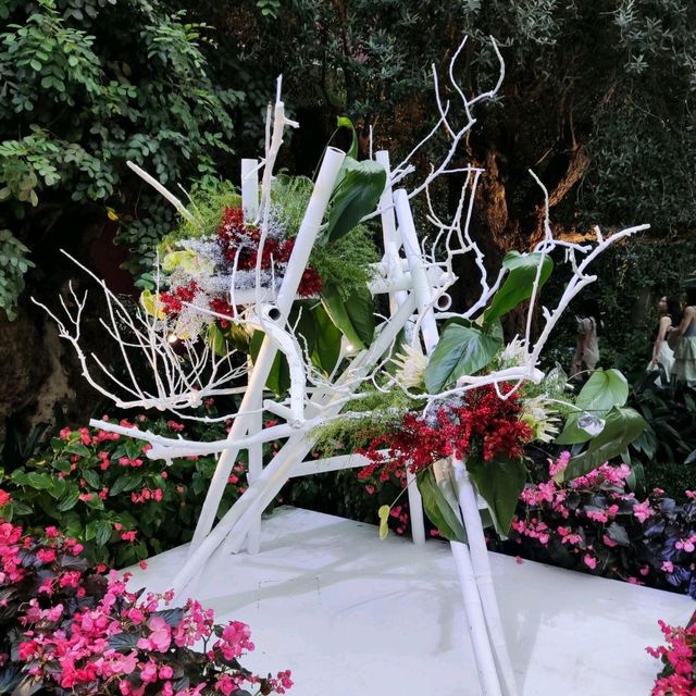Christmas @ Flower Dome