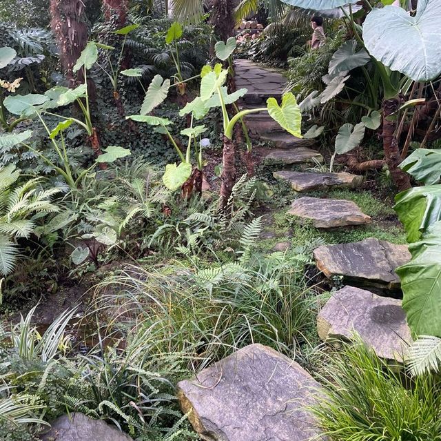 양주여행 필수코스 카페안에 식물원이?!! 오랑주리🌿