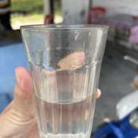 炎熱的天氣就是要喝椰子水