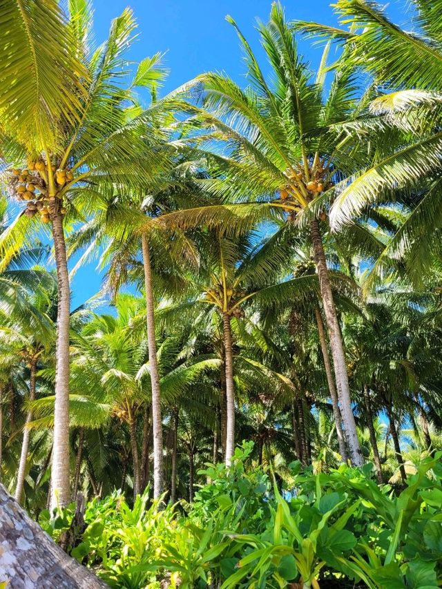 Tropical Paradise in Baganga, Davao Oriental