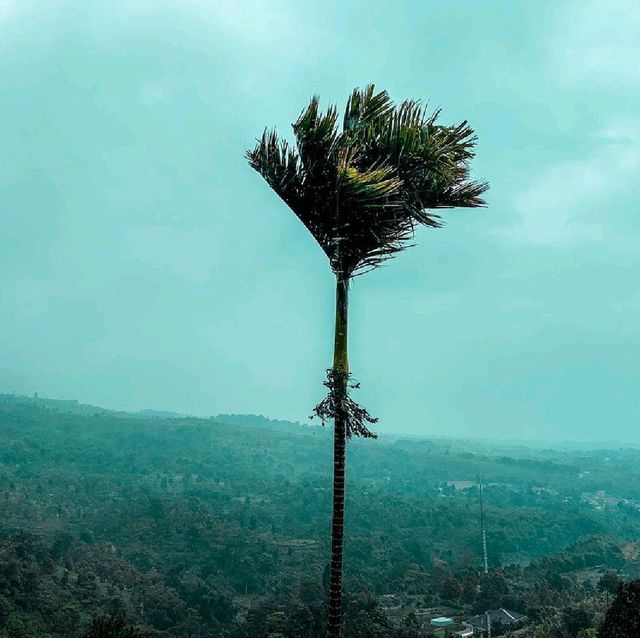 Bukit Alesano