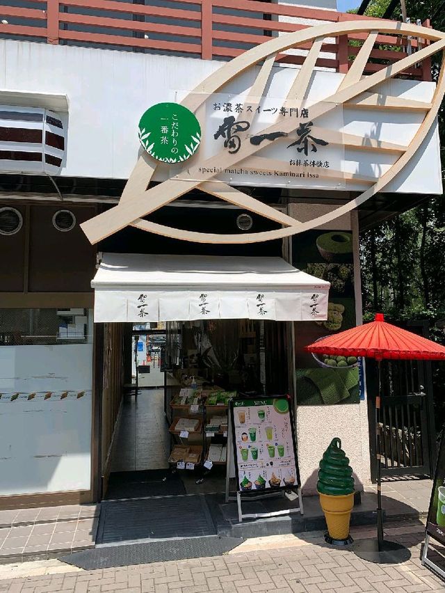 Raiichicha