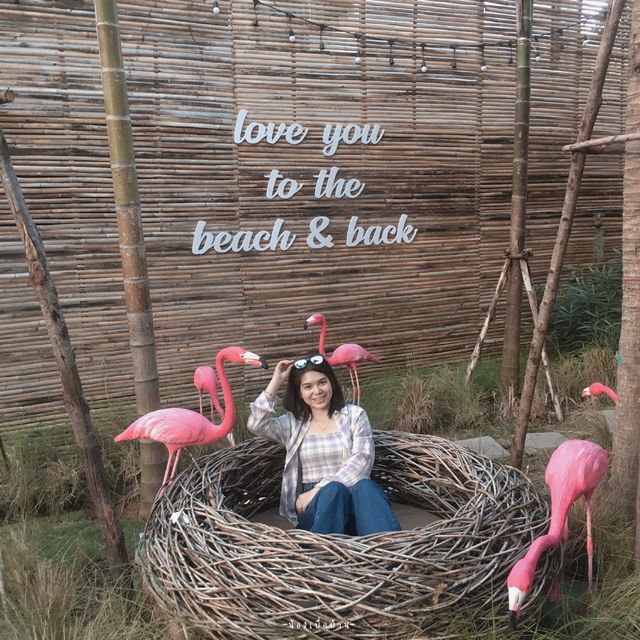 Top Seacret Beach Cafe  🦩🌷✨
