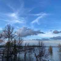 Seletar Fishing Village