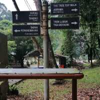 Tree Top Walk Sungai Sedim Kedah 🇲🇾