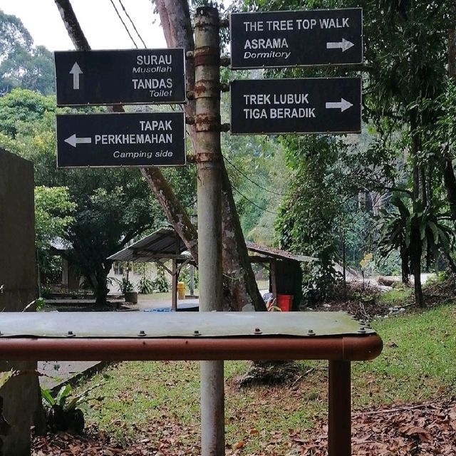 Tree Top Walk Sungai Sedim Kedah 🇲🇾