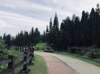 Morning Stroll In Nature.👣