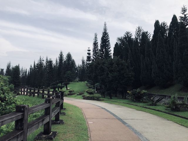 Morning Stroll In Nature.👣