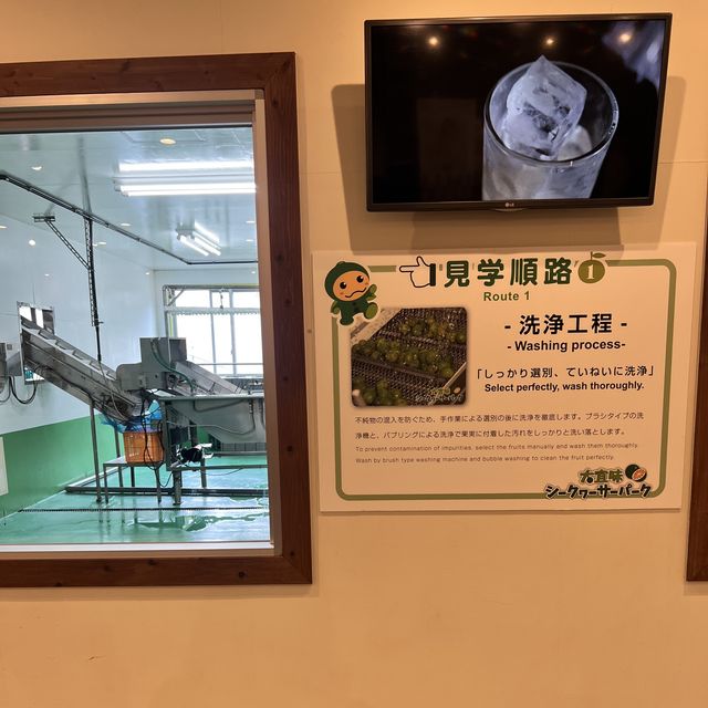 【沖縄･本島】夢の蛇口からジュースが出てくる😍