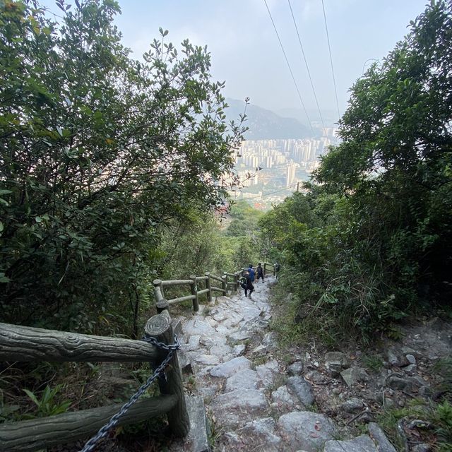 青山登頂 青山登頂