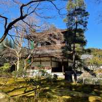 【銀閣寺】わびさびの世界観が美しい🇯🇵👘