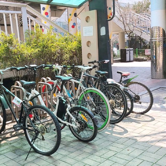 산본 가볼만한 곳, 산본로데오거리