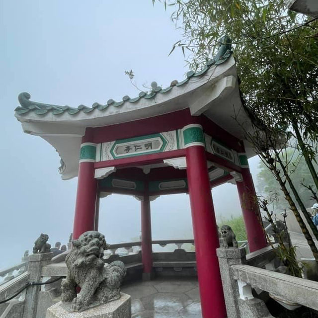 疫下山頂體驗🫣超大霧初感受 疫下山頂體驗🫣超大霧初感受