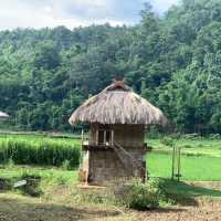 Absolutely amazing place and lovely elephant