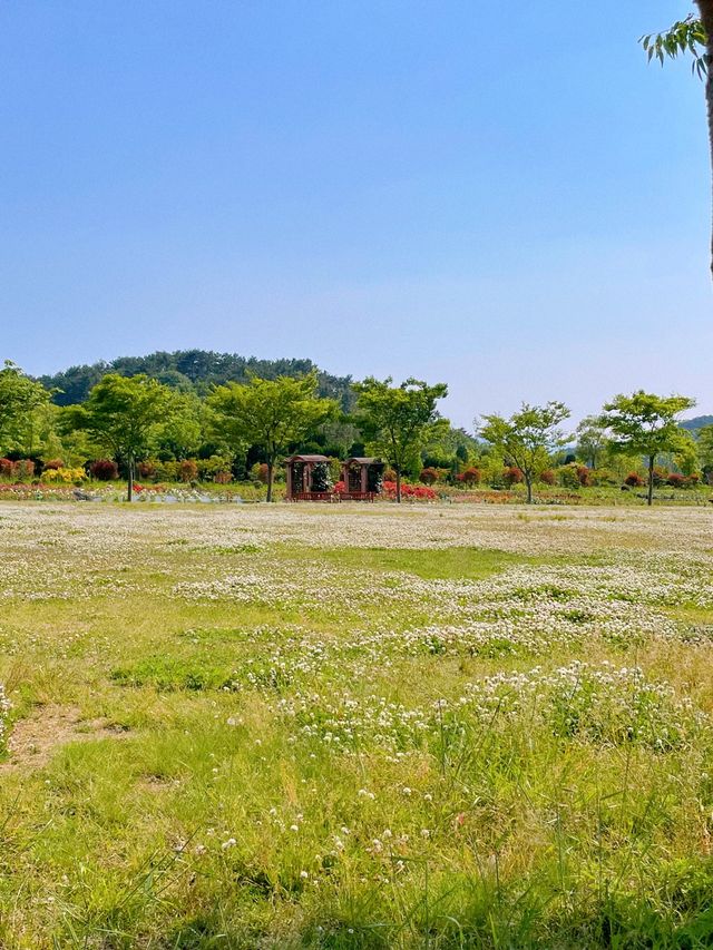 부산 봄나들이 가기 좋은 해운대 수목원 🌿