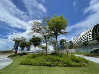 Rooftop gardens