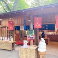 【京都】140年ぶりに再現された茶店