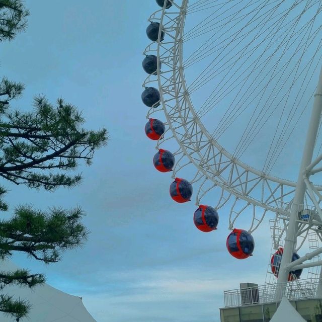 당신은 지금 해수욕을 하고싶다..🏊‍♀️속초해수욕장🏊‍♀️