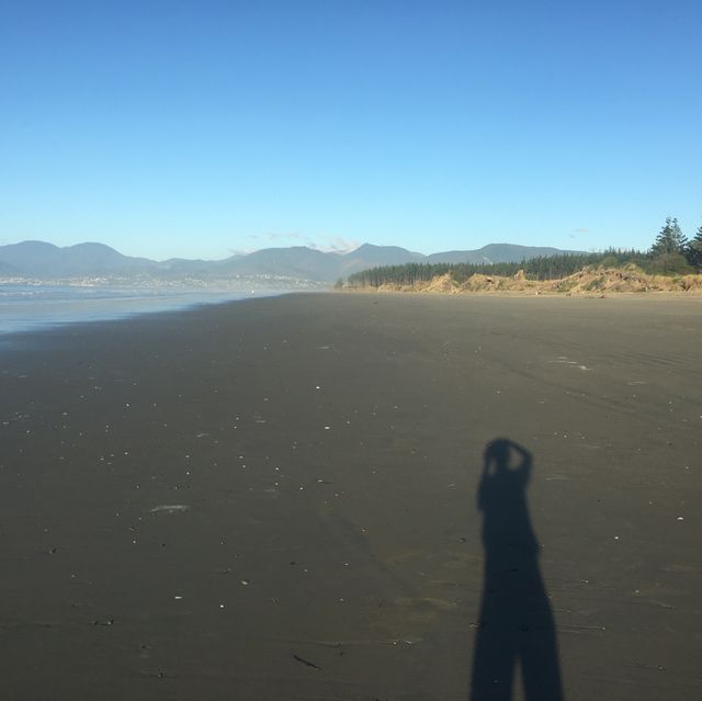 뉴질랜드 남섬 래빗아일랜드🐇🏖