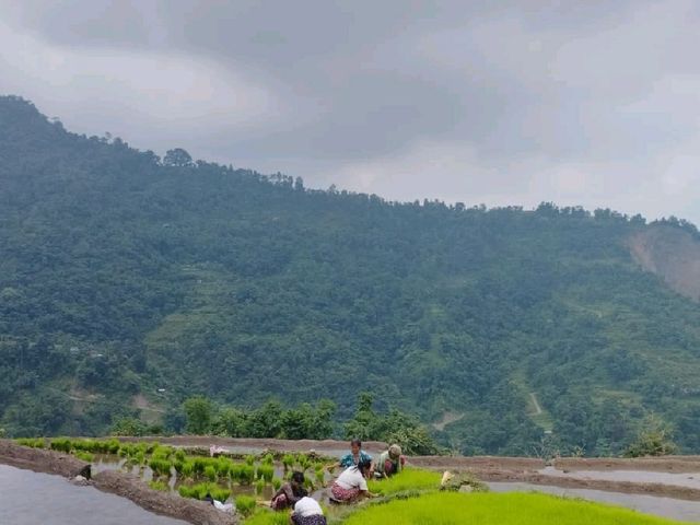 Shiva jatta, Dharan