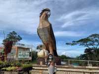 HIGHWAY 81