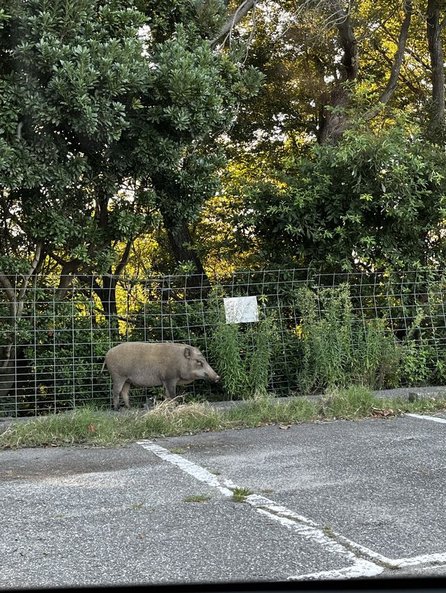 瀬戸内海を見下ろす絶景カフェ
