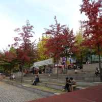 Sinchon, the Young Street