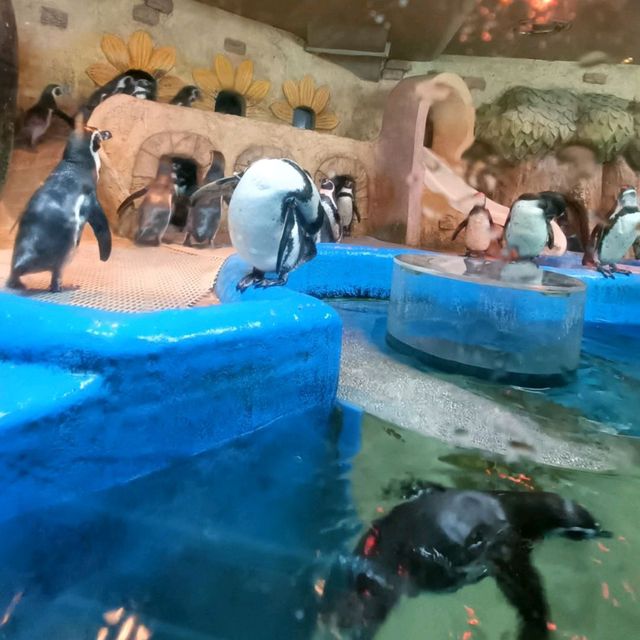🎃 👻🧛Halloween comes to Coex Aquarium!!