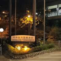夜景一流