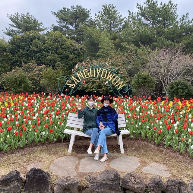 꽃밭의 향연 제주 상효원 