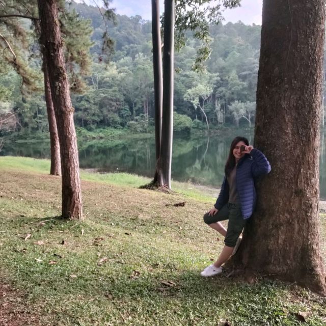 แนะนำ ปางอุ๋ง หมู่บ้านรักไทย ที่เที่ยวหน้าหนาว