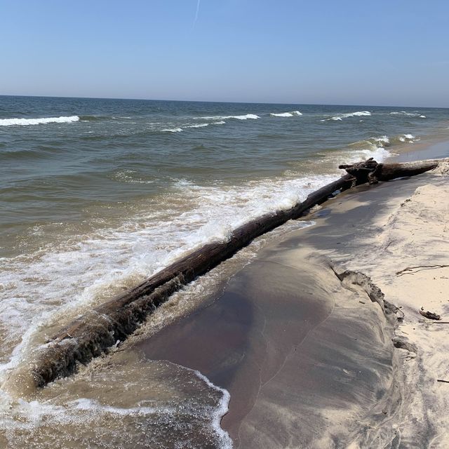 A most remarkable beach on Lake Michigan