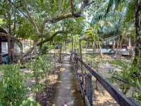 ร้านอาหารพื้นเมืองริมน้ำ จ. สุราษฎร์ธานี