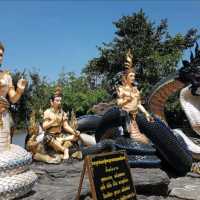 วัดป่าปากโดม  จ.อุบลราชธานี