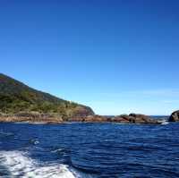 Beautiful Milford Sound