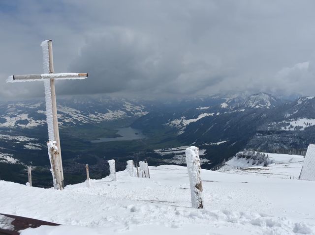 ราชินีแห่งขุนเขา Rigi 🇨🇭