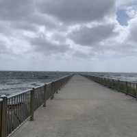 【千葉県】稲毛海浜公園