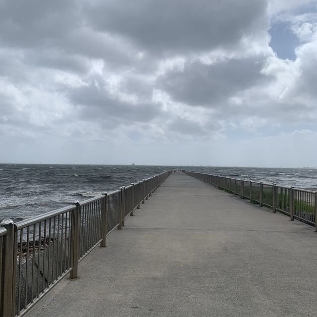 【千葉県】稲毛海浜公園 【千葉県】稲毛海浜公園