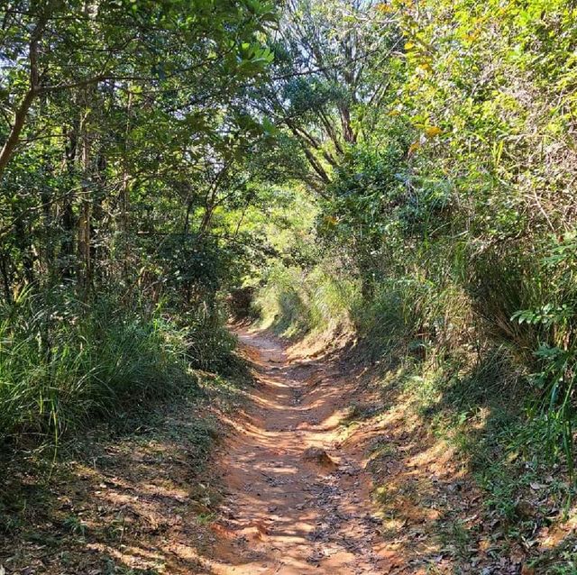 水浪窩彎曲山行山
