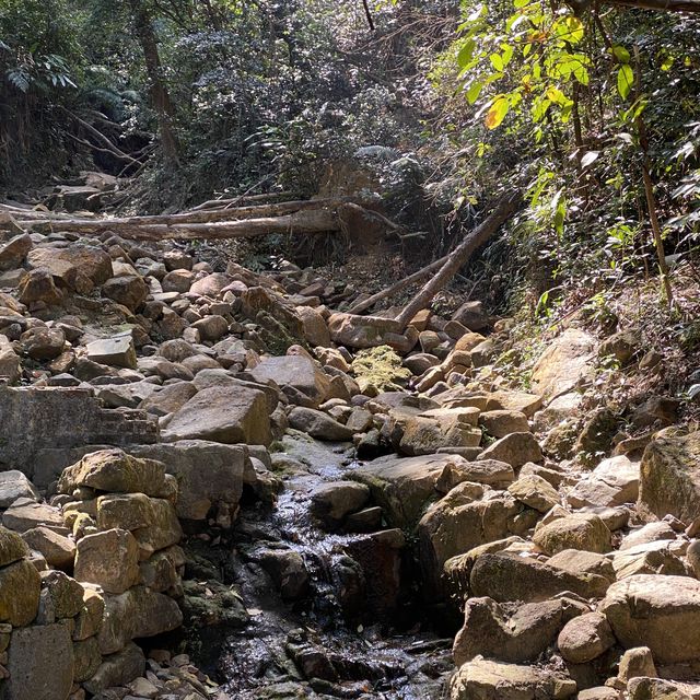 行山：香港大學—龍虎山—西高山—山頂