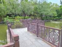 宮廷劇御用取景場地~荔枝角公園🏞️