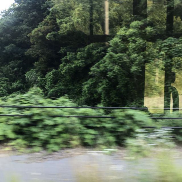 《日本-輪島市》堅持要去看的「梯田之美」
