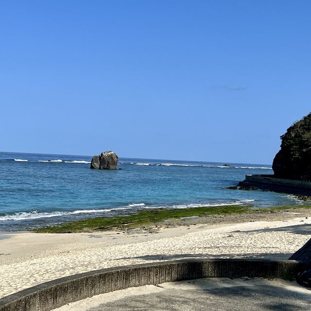 ウミガメの産卵も見れる夕日の名所と、白い砂浜が特徴の緑豊かな公園