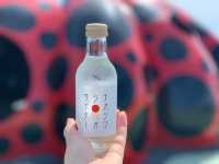 【香川県】地中美術館でアートに触れる旅