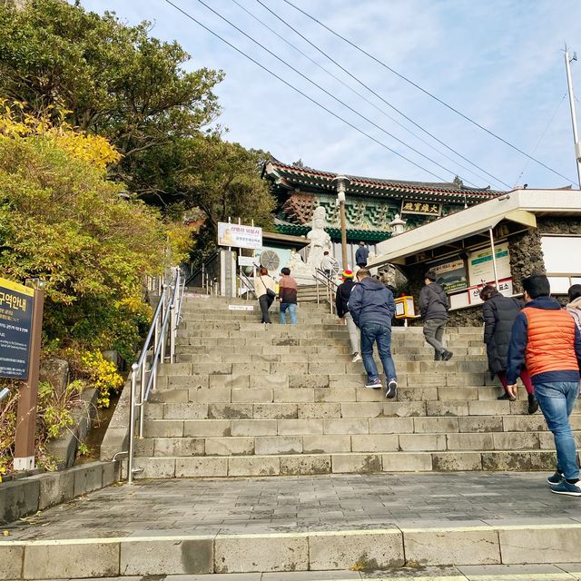 Jeju island 🇰🇷🏝⛰💗🫶🏻🛫✈️