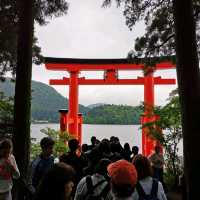 elusive mount Fuji 