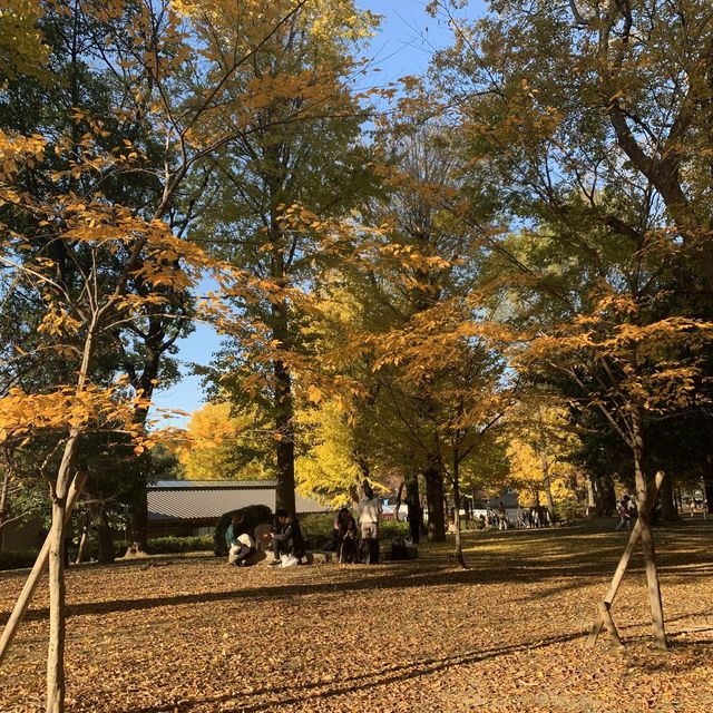 紅葉の上野公園はとても綺麗！
