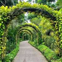 Singapore Botanic Gardens