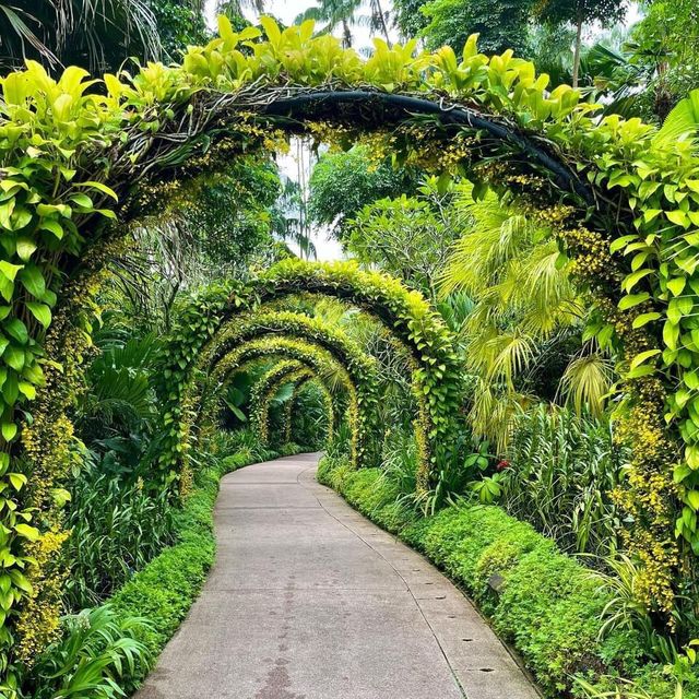 Singapore Botanic Gardens