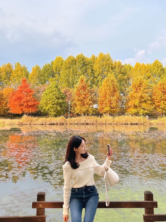 가을에 꼭 가봐야하는 담양관방제림🍂